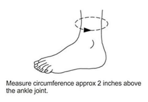 Rice Bead Ankle Bracelet